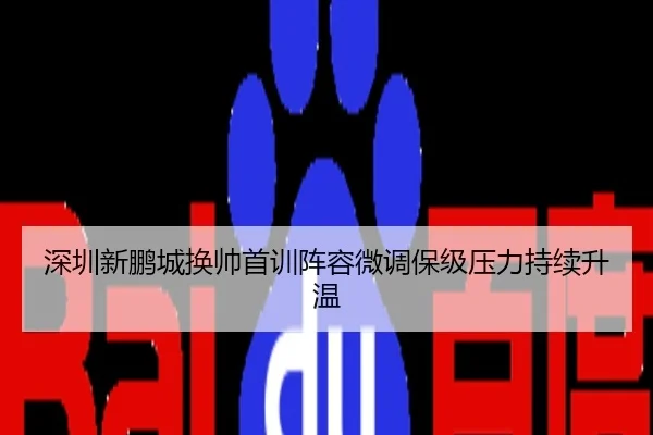 深圳新鹏城换帅首训阵容微调保级压力持续升温
